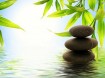 live-harmony-with-feng-shui